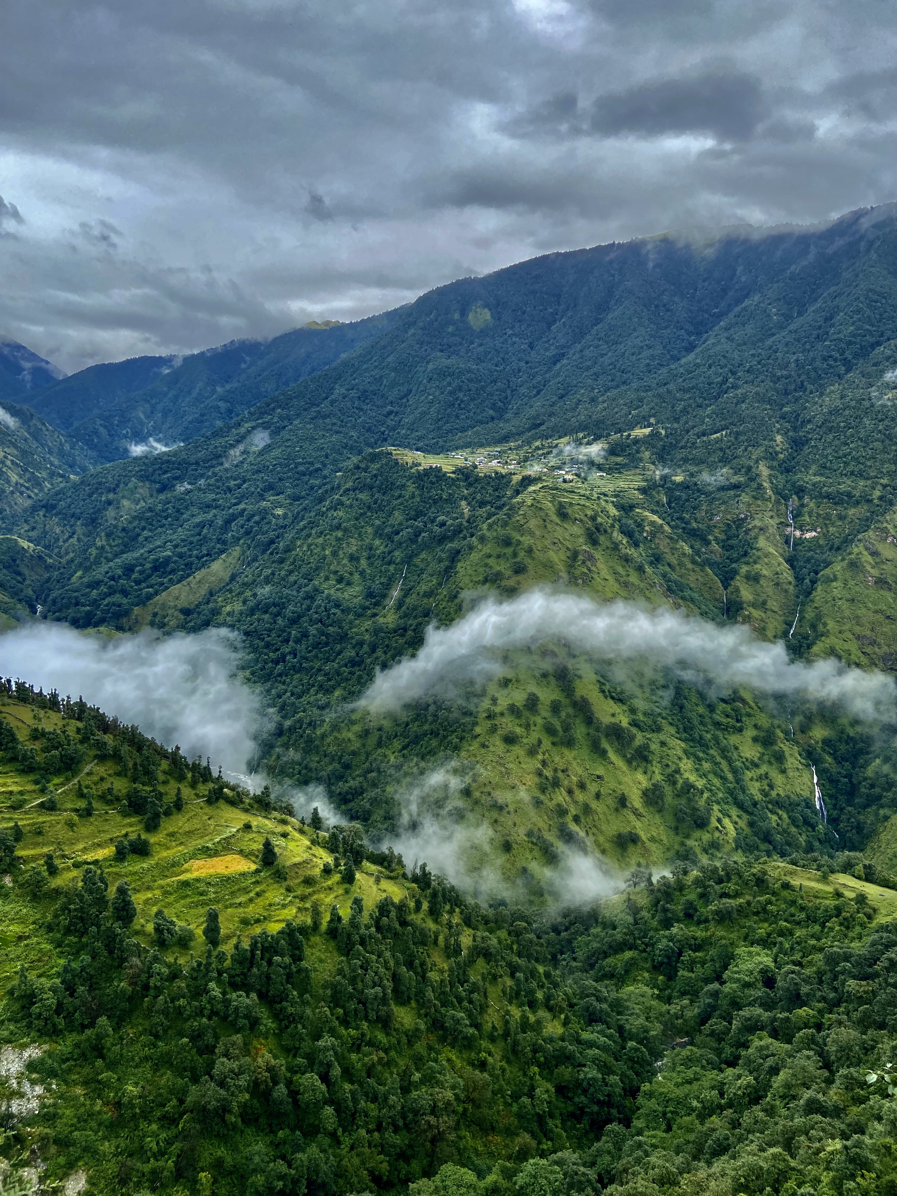 Ali Bedni Bugyal